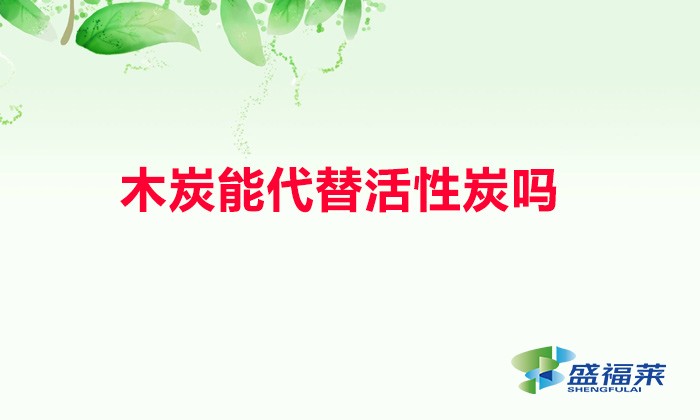 木炭能代替活性炭吗(为什么木炭不能替代活性炭)
