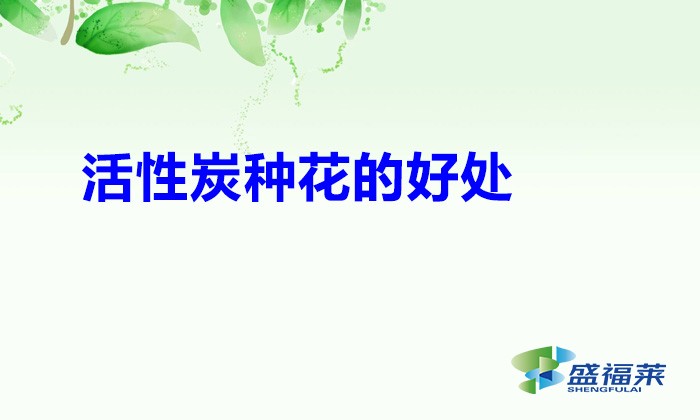 活性炭种花的好处(活性炭颗粒能种花吗)