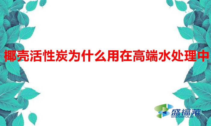 椰壳活性炭为什么用在高端水处理中