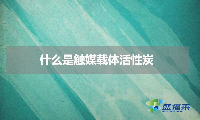 什么是触媒载体活性炭(触媒载体活性炭是什么意思)