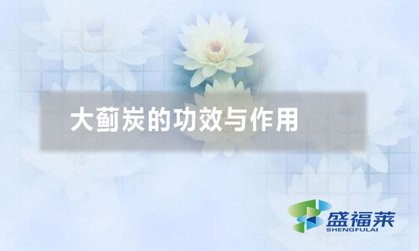大蓟炭的功效与作用(大蓟炭的五大应用)