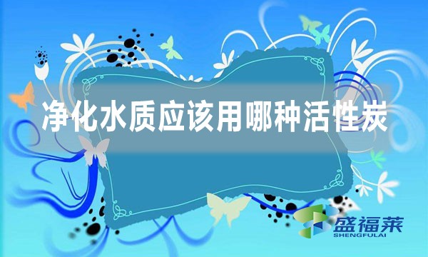 净化水质应该用哪种活性炭(不同水质使用不同类型的活性炭)