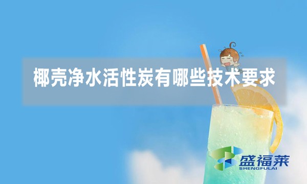 椰壳净水活性炭有哪些技术要求，行业标准是什么?