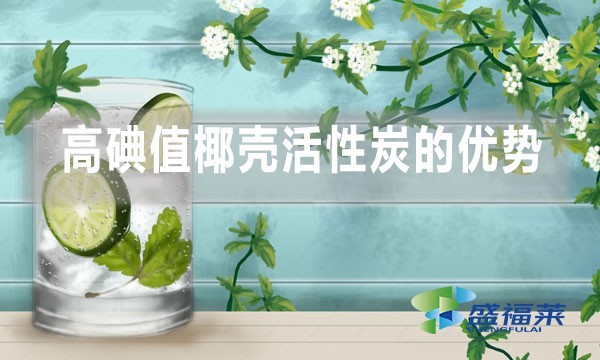 高碘值椰壳活性炭在饮用水处理中的优势以及缺点