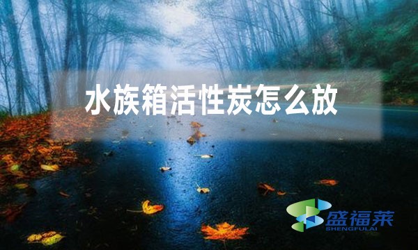 水族箱活性炭怎么放(水族箱活性炭正确使用方法)