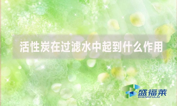 活性炭在过滤水中起到什么作用?