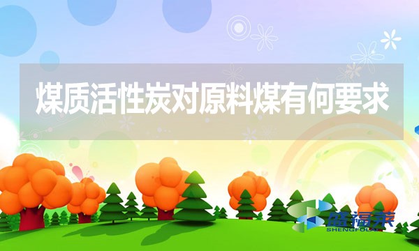 煤质活性炭对原料煤有何要求?