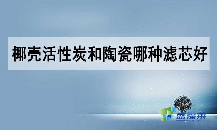 椰壳活性炭和陶瓷哪种滤芯好？如何选择？