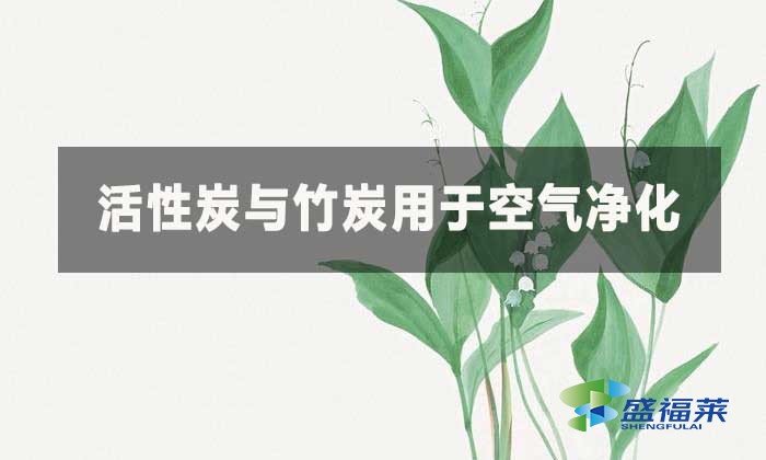 活性炭與竹炭這兩種材料在淨化空氣方面有何不同?